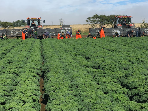 Employment Opportunities - Boaz Farms employment opportunities services