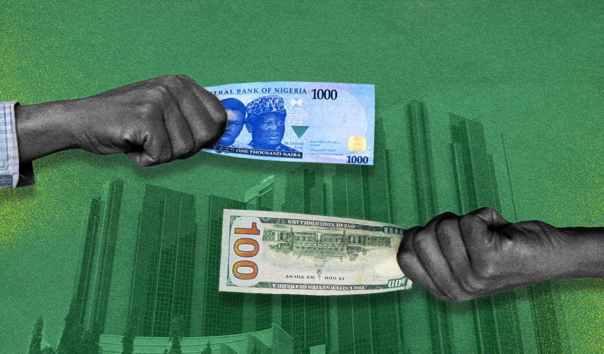 Foreign Exchange Earnings - Boaz Farms foreign exchange earnings services